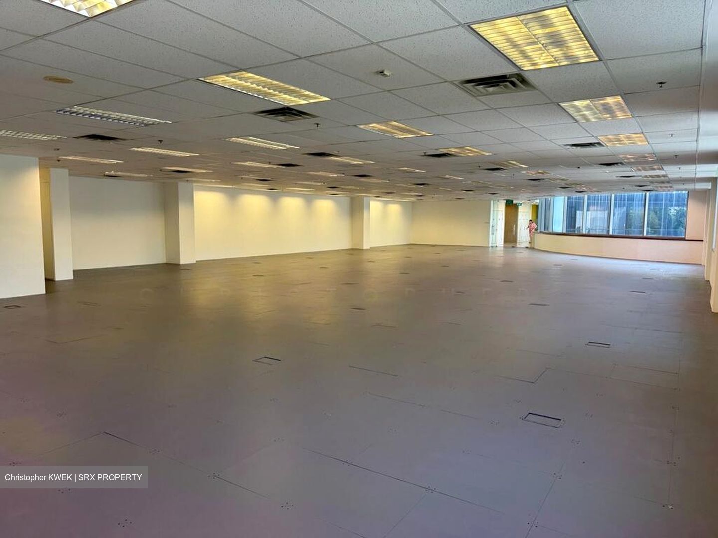 Haw Par Centre (D9), Office #495528001